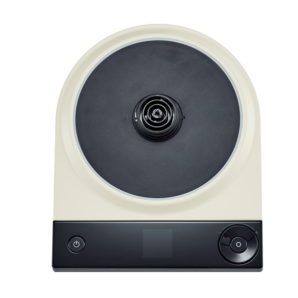 Luna Electric Kettle Pro - Cozy Home Life