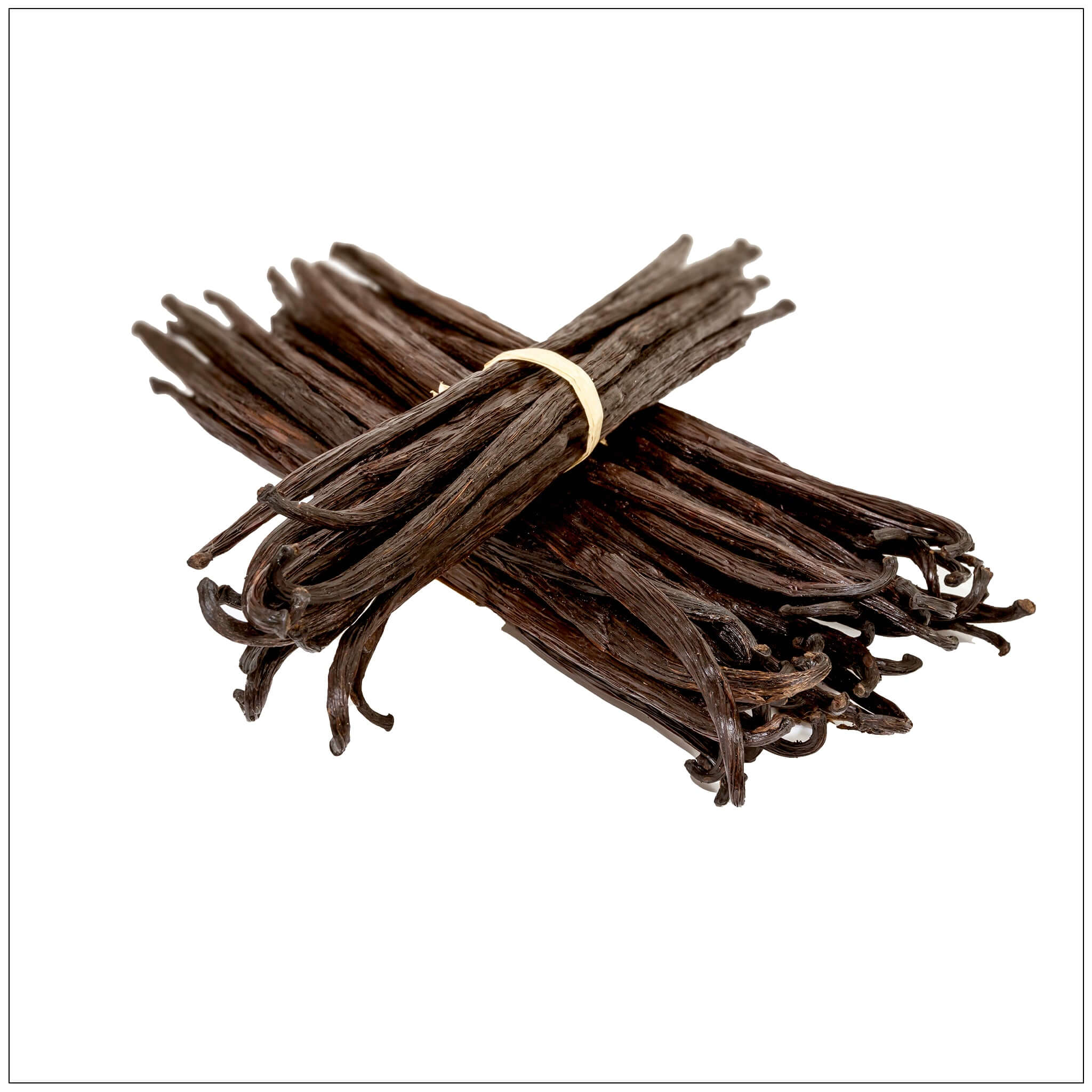 Madagascar Vanilla Beans - Cozy Home Life