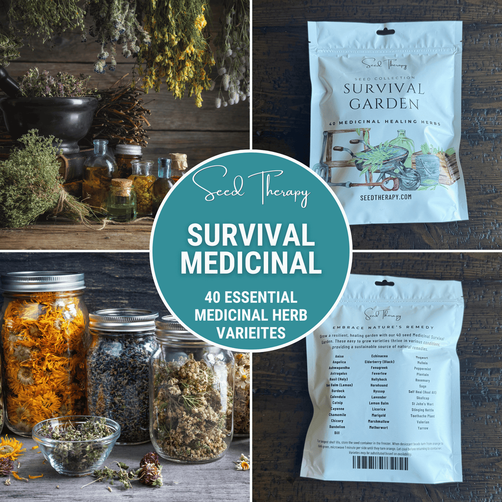 Survival Medicinal Herb Garden – 40 Essential Varieties - Cozy Home Life