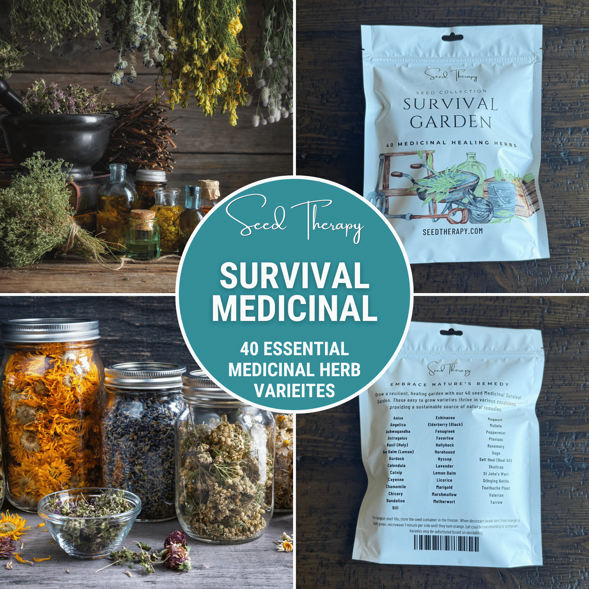 Survival Medicinal Herb Garden – 40 Essential Varieties - Cozy Home Life